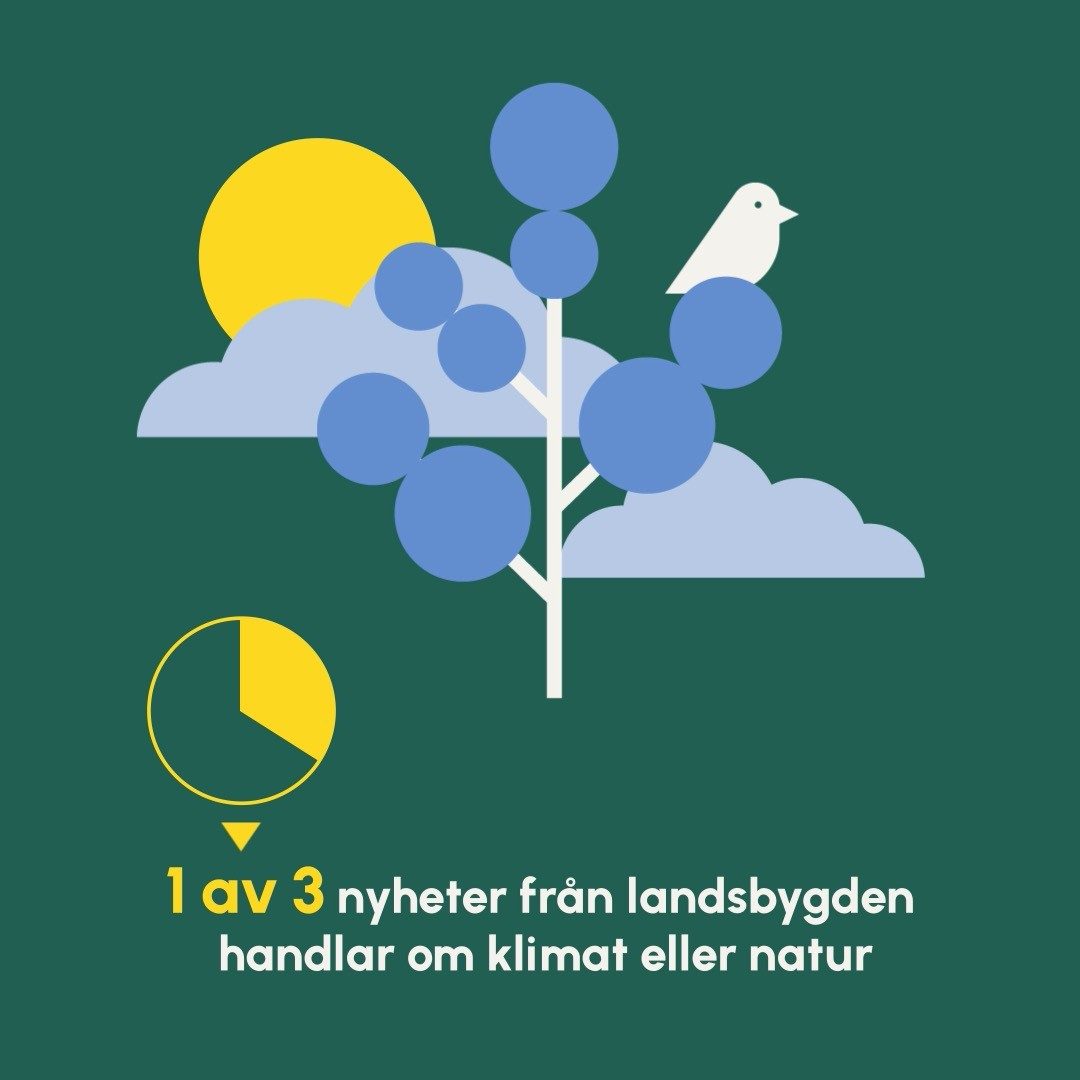 BILDEN AV DEN LUGNA LANDSBYGDEN🌲

Mediehuset Fanzingo knäcker koden för vad som får bli nyheter i en ny unik granskning av riksmedia, Nyhetskoden.

En tredjedel av alla nyheter som utspelar sig på landsbygden är på temat klimat, natur och djur. Det kan handla om skogsavverkning i Kronobergs län, rekordkylan i Börtnan eller att stenmården etablerat sig i norra Skåne. Om man jämför med övrig rapportering ligger samma siffra på en tiondel.

Att naturen och landsbygden ligger nära varandra är givet, men man kan lätt få intrycket att landsbygden och dess invånare inte påverkas i lika hög grad som andra platser av politik, brott och konflikter, då dessa teman sällan syns. 

Vad tror du att det gör med synen på landsbygden och människorna som bor här? 
 
Mediehuset Fanzingo har under 2019, 2020 och 2021 analyserat nyhetsinslag från TV4, SVT och SR i syfte att ta reda på vad som får mest plats, och vad som osynliggörs i svensk riksmedia. Nu släpps stora delar av materialet i rapporten Nyhetskoden.